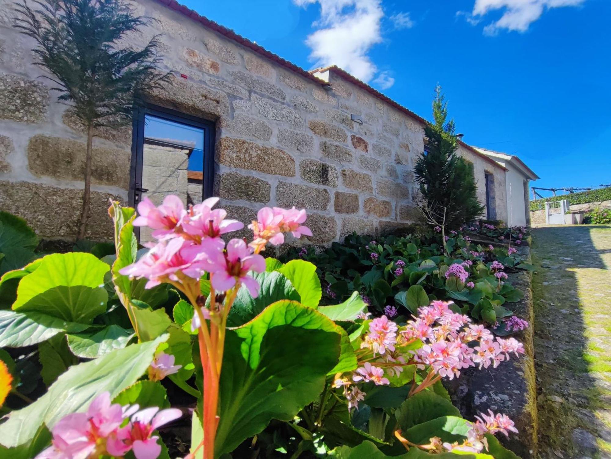 Agroturismo Quinta De Travancela Amarante Exteriér fotografie