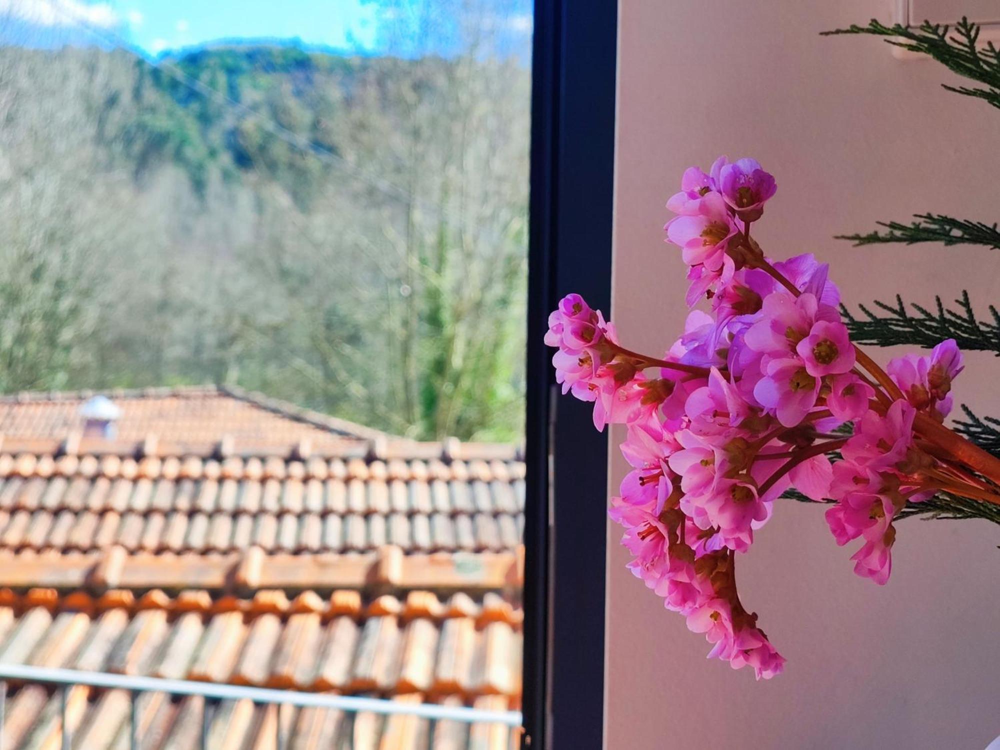 Agroturismo Quinta De Travancela Amarante Exteriér fotografie