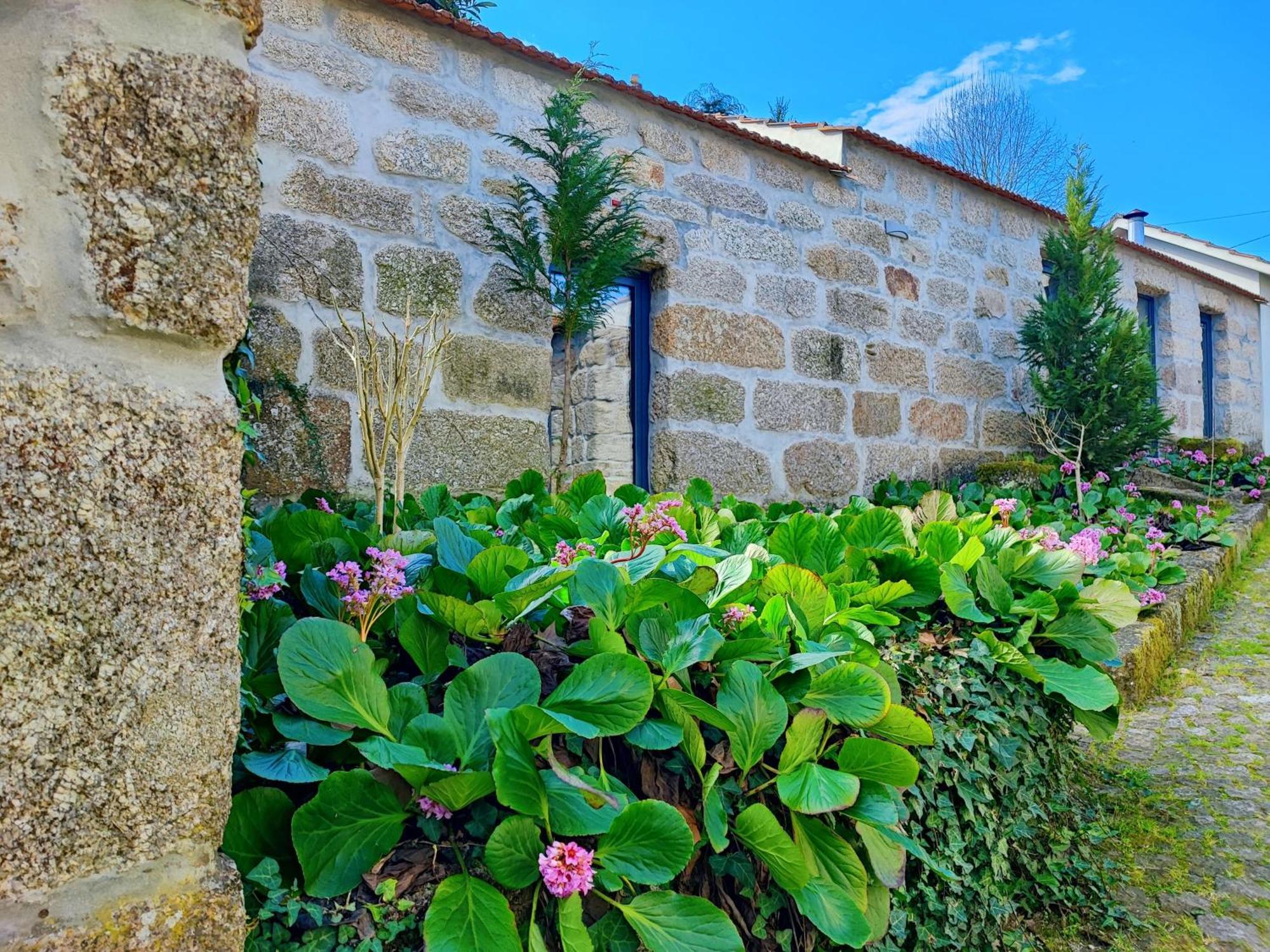 Agroturismo Quinta De Travancela Amarante Exteriér fotografie